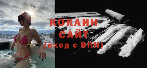 сатива Дмитриев