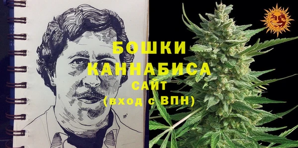 сатива Дмитриев