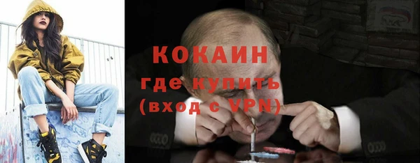 сатива Дмитриев