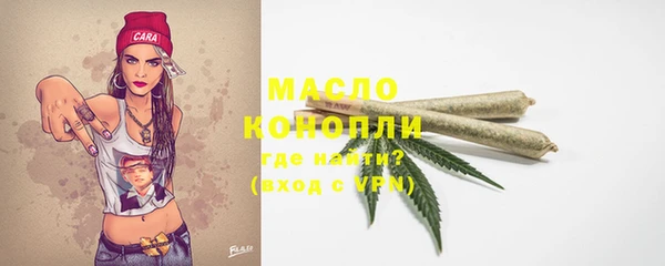 сатива Дмитриев