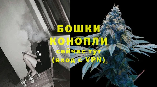 сатива Дмитриев