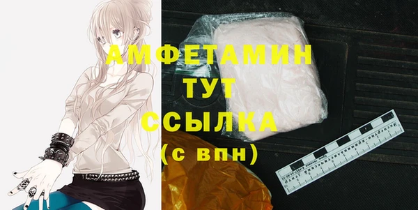 сатива Дмитриев
