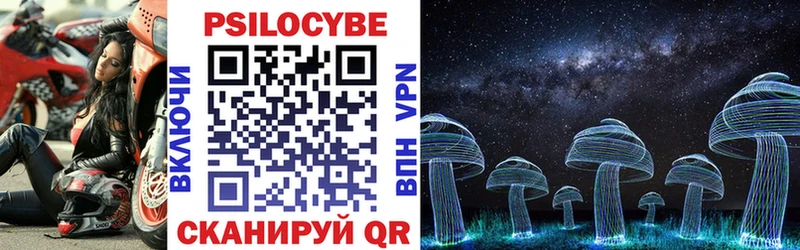 наркошоп  ОМГ ОМГ зеркало  Галлюциногенные грибы Psilocybine cubensis  Щёлково 